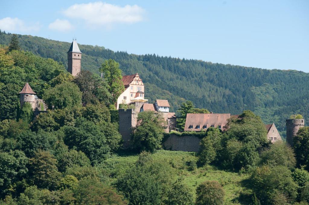 Schlosshotel Hirschhorn Exterior photo